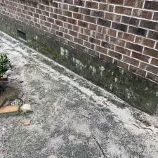 Algae Removal 10